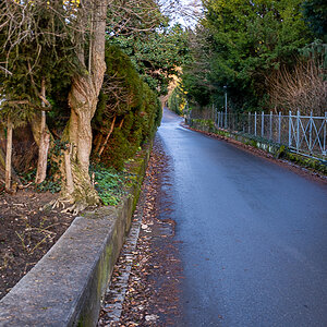 DSCF0099-3.jpg