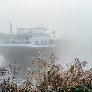 Z7F_2376-002.JPG