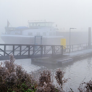 Z7F_2377-003.JPG