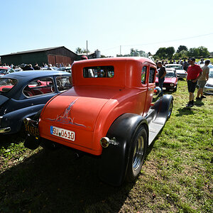 ZF1_9620_02.JPG