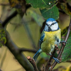 DSC_5956-NEF.jpg