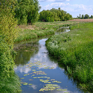 OFZ_00441.jpg