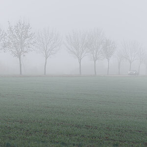 OF2_76580.jpg