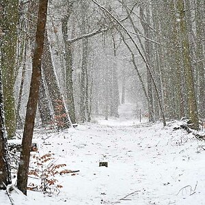 Winterspaziergang im Schneegestöber.jpg