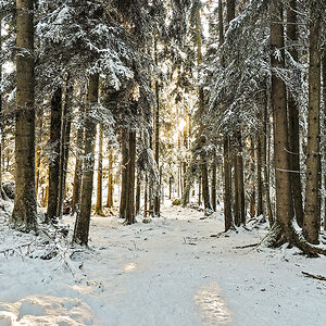 _1180054-Edit.jpg