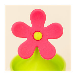 1/365 ABBA – Happy New Year © 2026 Sabine Lommatzsch