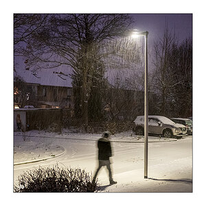 3/365 Tom Waits – Hang Down Your Head © 2026 Sabine Lommatzsch