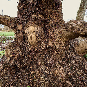 _AZ64413_2.jpg