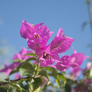 U02_5372-NF.jpg