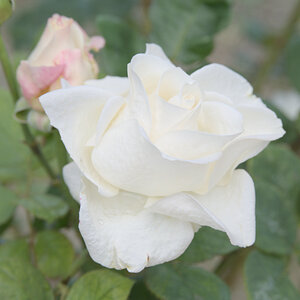U02_5791-NF.jpg