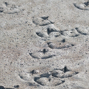U01_5454-NF.jpg