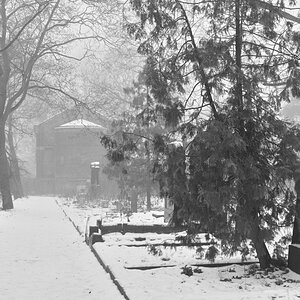 DSC_2677.JPG