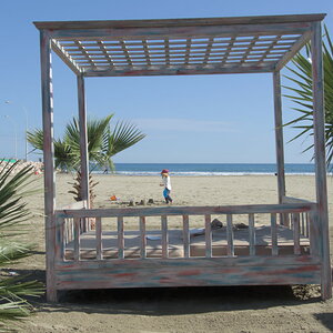 DSCN4356.jpg