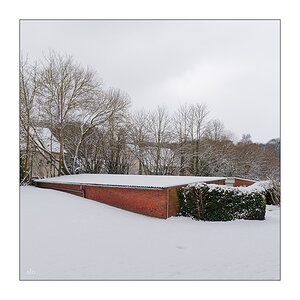 5/365 Birdy – Winter © 2026 Sabine Lommatzsch