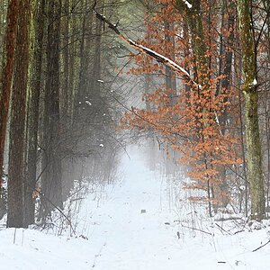 Winterweg 2.jpg