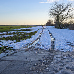 OFZ_03319.jpg
