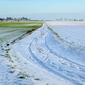 OFZ_03252.jpg