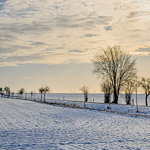 OFZ_03257.jpg