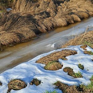 Moorgraben im Winter.jpg