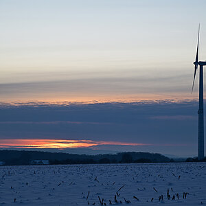 Z8A_1330t3l3fks40p1.jpg