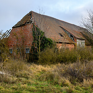 OFZ_03231.jpg