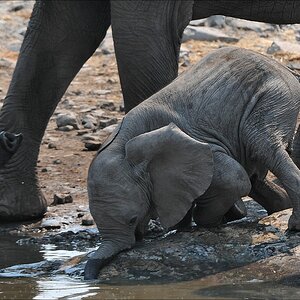 comp Namibia 09 12585