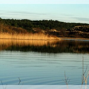 Niederlande, Naturschutzreservat Schoorlse Duinen