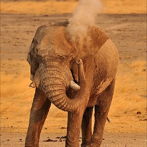 comp Namibia 09 14541