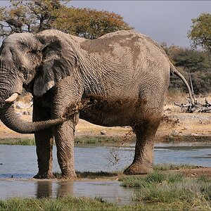 comp Namibia 09 16168