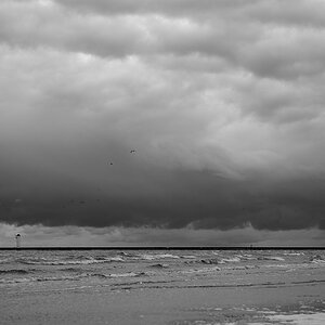 20091016 2611 [NIKON D700]   70 mm  1 1250 Sek. bei ƒ   4,0