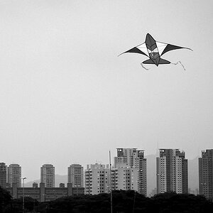 P1050454 sw web