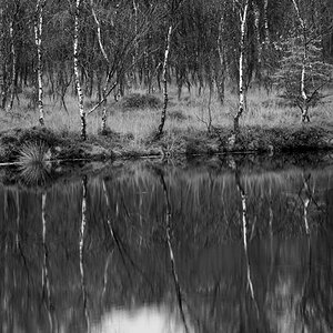 DSC7161K MOOR SEE