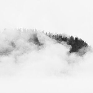 nebel