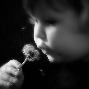 Pusteblume