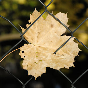 2009 10 21 16 03 33 1