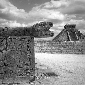 comp mexico95 203 nx2