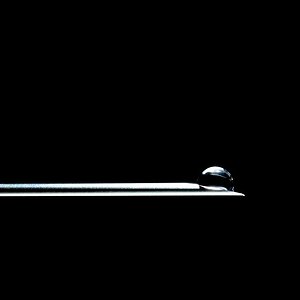 DSC 5331 20091003 3445 1