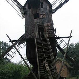 IMG 9740 (Large)