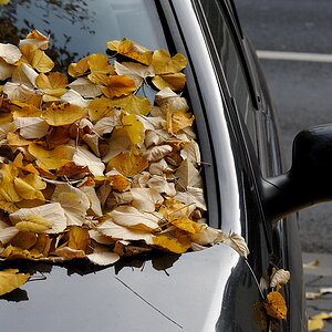 Herbstwagen