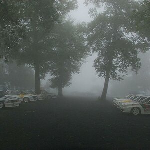 Opel Sport-Collection