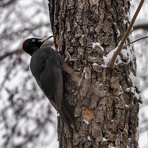 DSC_8153.jpg