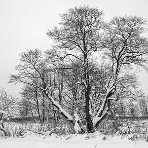 Winter-SW.jpg