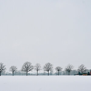 IMG_2026-01-30-134644.jpeg