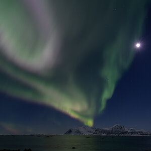 260129 Nordlicht Lofoten NF-F-1.jpg