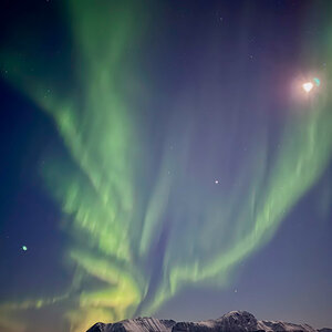 260129 Nordlicht Lofoten-6.jpg