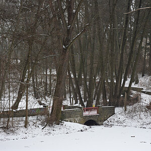 DSC_7199.JPG