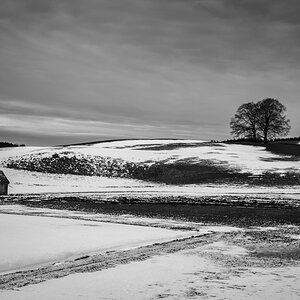 DSC_5514-Bearbeitet.jpg