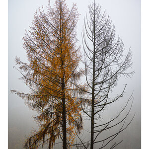Farbe & s/w