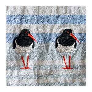 21/365 Passengers feat. Birdy – Beautiful Birds © 2026 Sabine Lommatzsch
