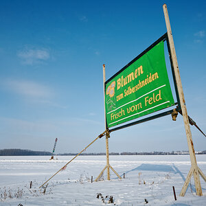 Z52_3171-1.jpg